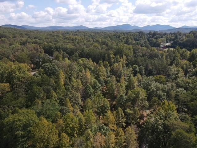 Shadowick Mountain Road, Jasper, Georgia image 12