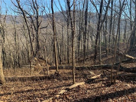 Vacant Land For Sale - 2933 Locust Trail<br/> Jasper, GA 30143