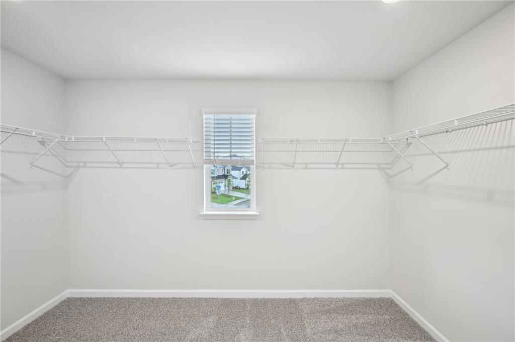 54 Bur Oak Boulevard, Dawsonville, Georgia image 43