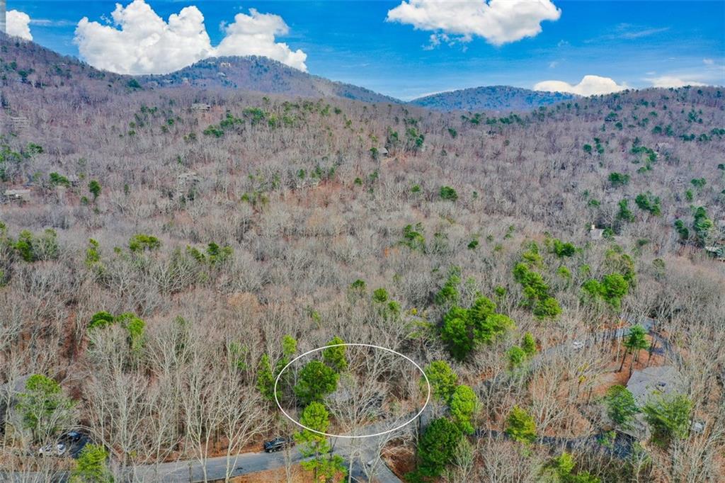 80 Mountain Mint Drive