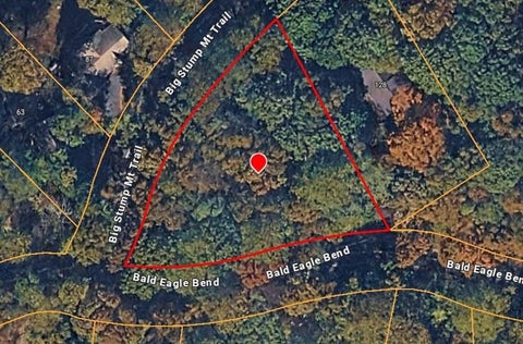 Photo of 0 Big Stump Mountain Trail, Jasper, GA 30143 (MLS # 7792673)