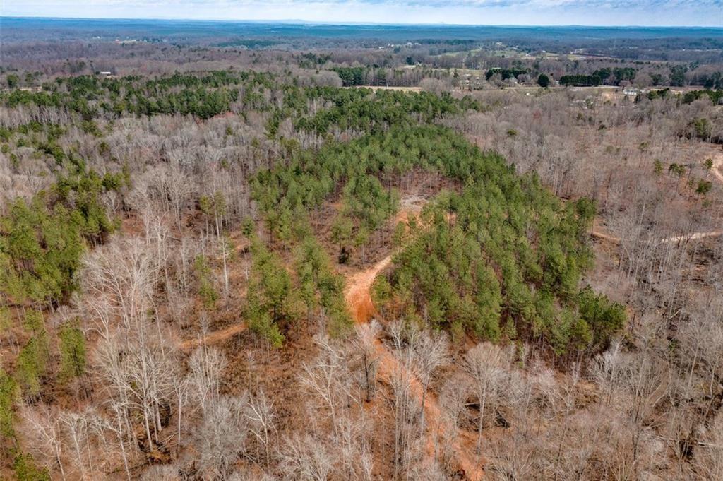 Holly Springs Road, Pendergrass, Georgia image 8