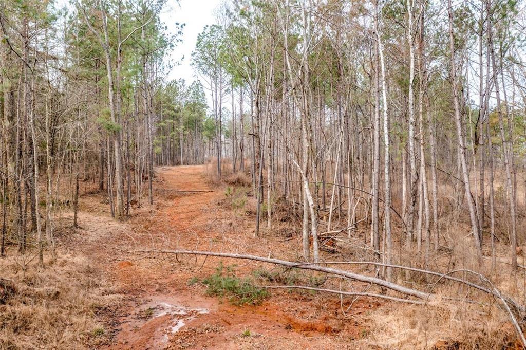 Holly Springs Road, Pendergrass, Georgia image 9