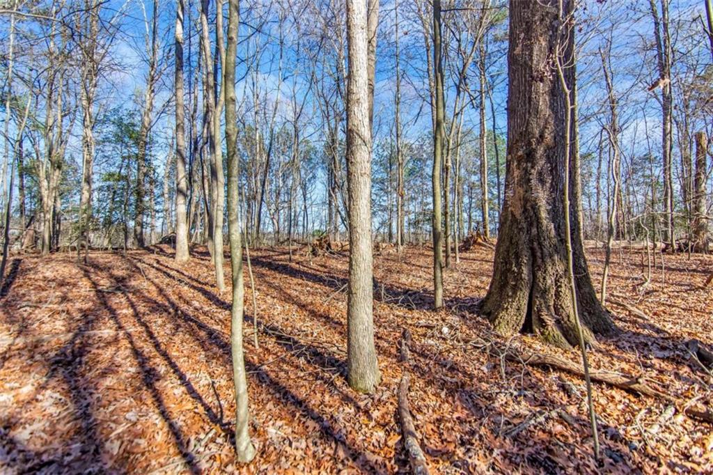 6 ACRE Flat Creek Road