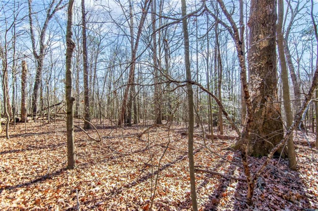 6 ACRE Flat Creek Road