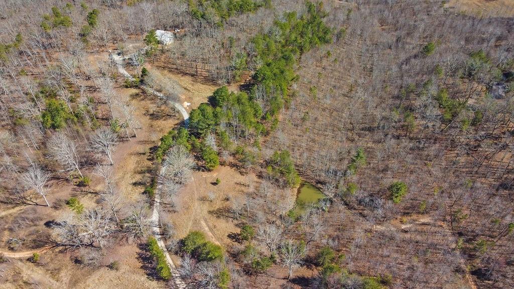 344 Herman Rice Road, Dawsonville, Georgia image 17