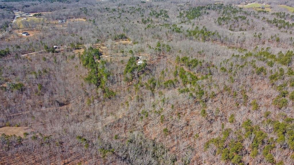 344 Herman Rice Road, Dawsonville, Georgia image 13