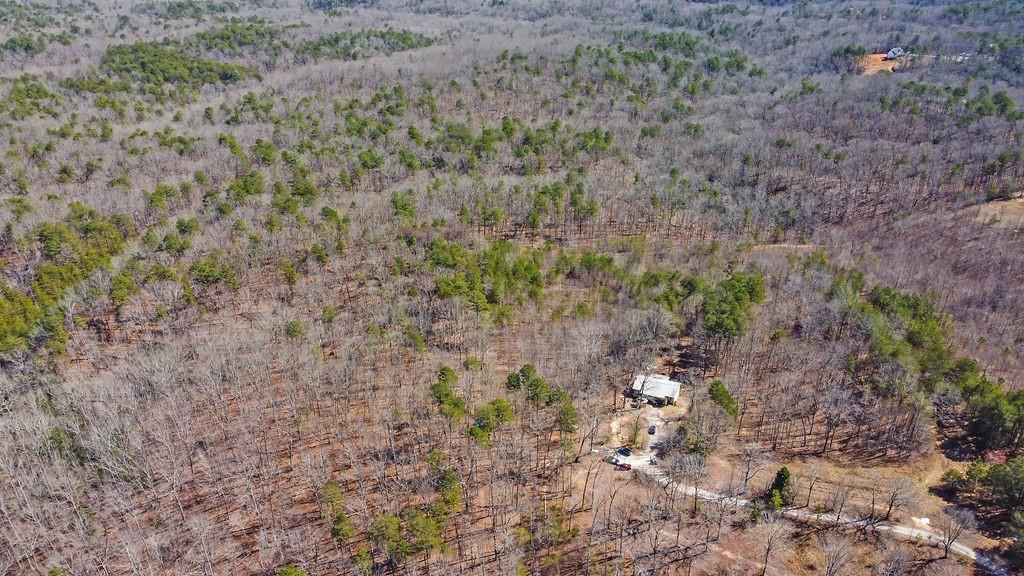 344 Herman Rice Road, Dawsonville, Georgia image 20