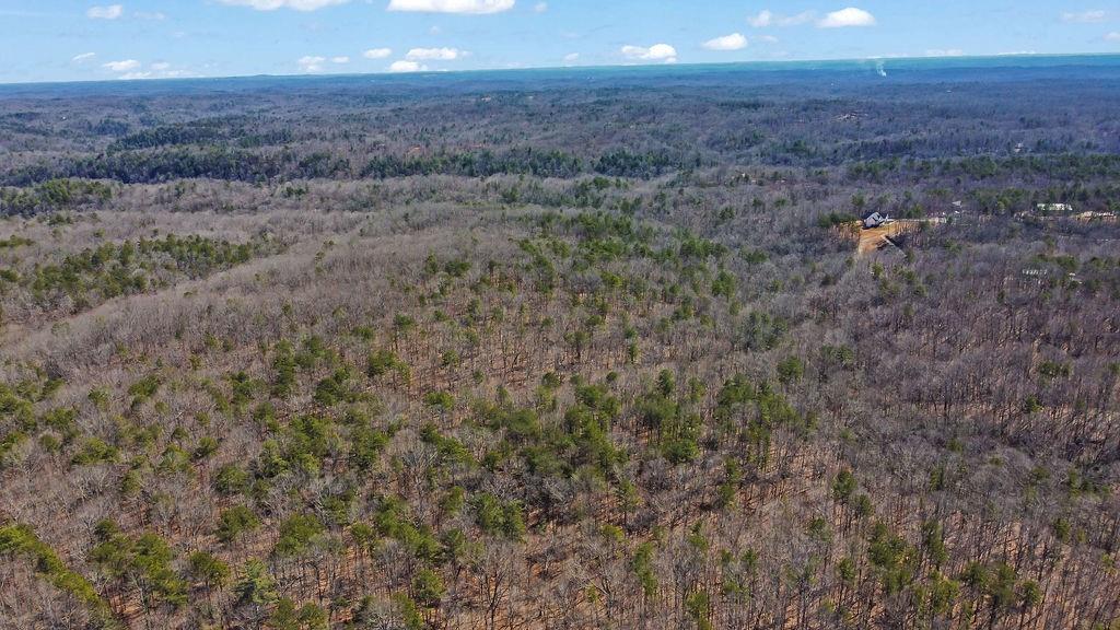344 Herman Rice Road, Dawsonville, Georgia image 22
