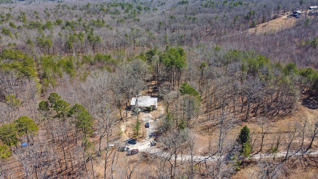 344 Herman Rice Road, Dawsonville, Georgia image 11