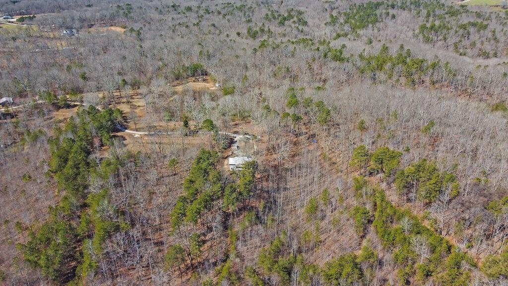 344 Herman Rice Road, Dawsonville, Georgia image 12