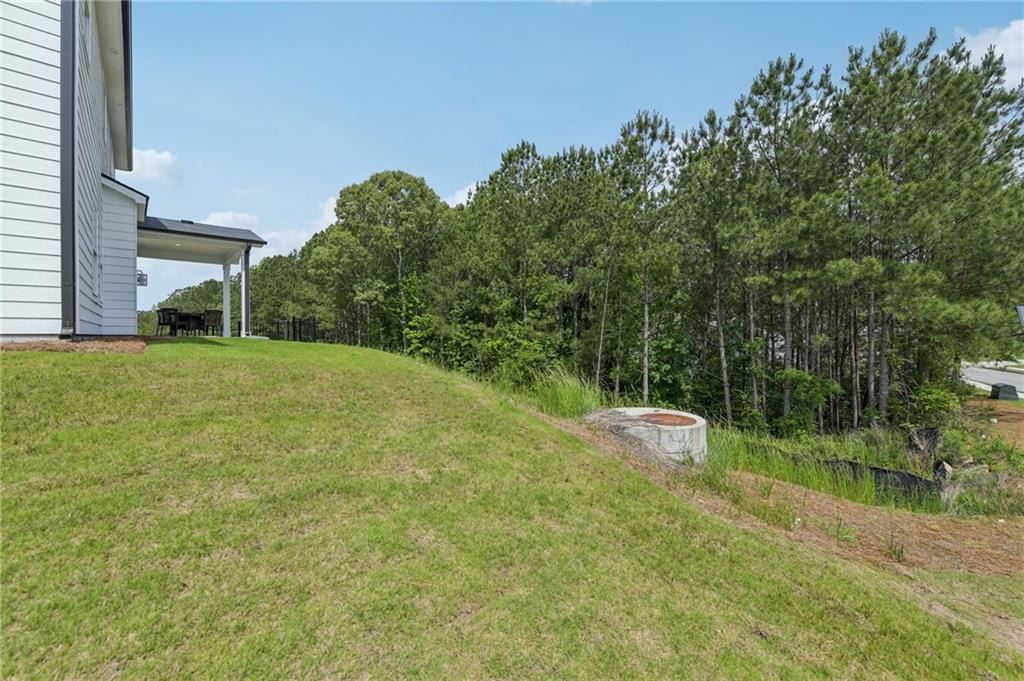 16 Proust Circle, Dallas, Georgia image 44
