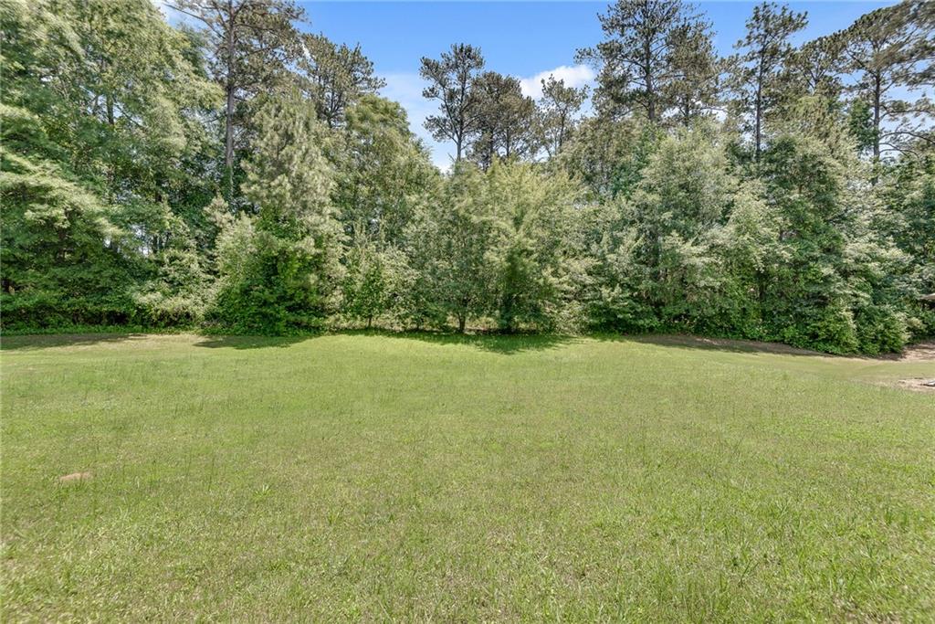 543 Serene Waters Trail, Jonesboro, Georgia image 40