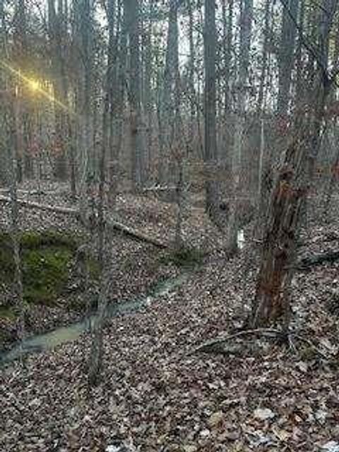 Vacant Land For Sale - 00 River Ridge Trail<br/> Sparta, GA 31087