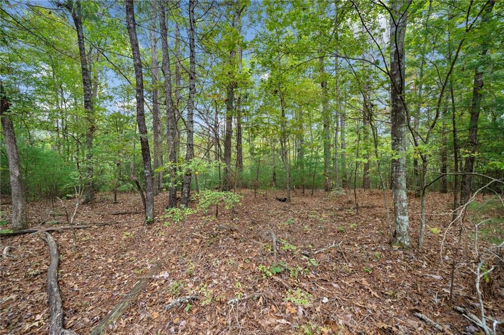 L122 Trout Line Court, Talking Rock, Georgia image 4