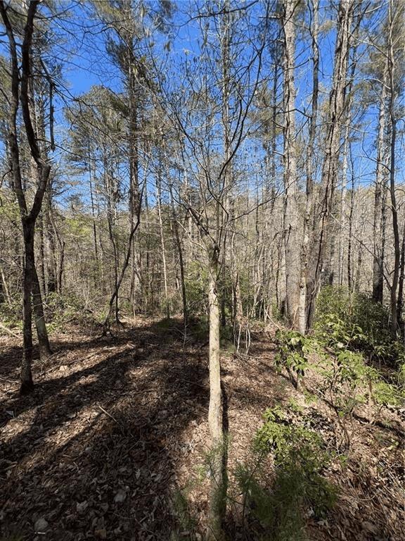 L122 Trout Line Court, Talking Rock, Georgia image 19