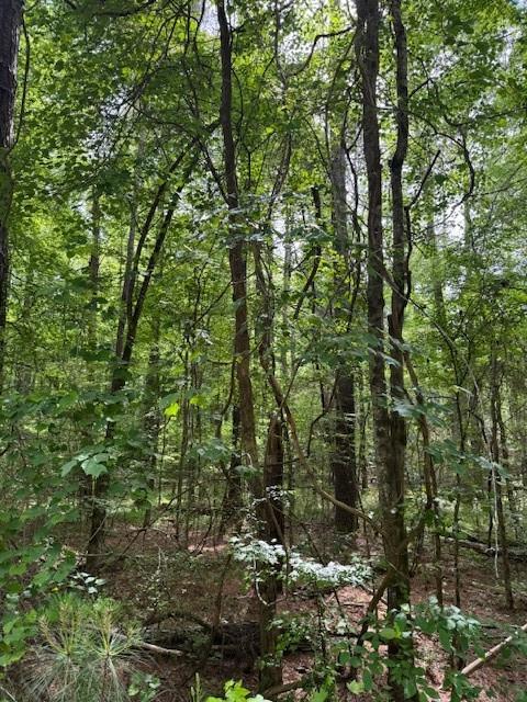 85 Highlands Way Way, Oxford, Georgia image 2