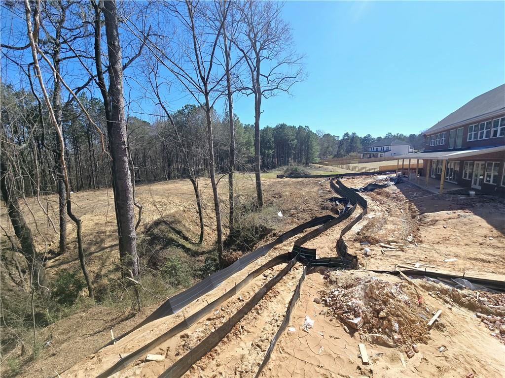3903 SE Indian Shoals Road, Bethlehem, Georgia image 18
