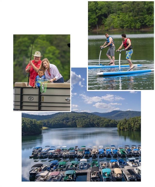 8271 Cox Mountain Lane