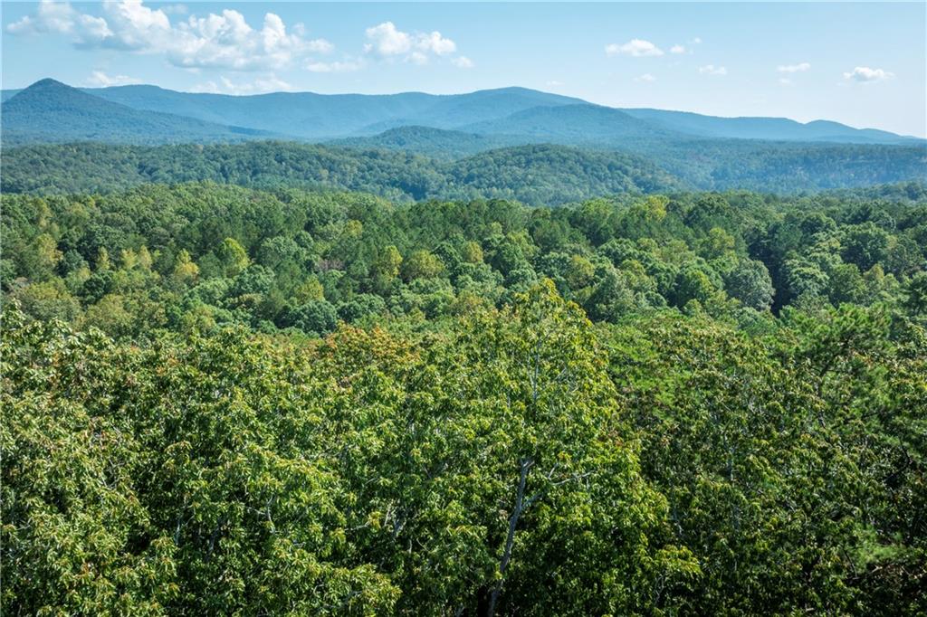 262 Sharptop Ridge Road, Jasper, Georgia image 36