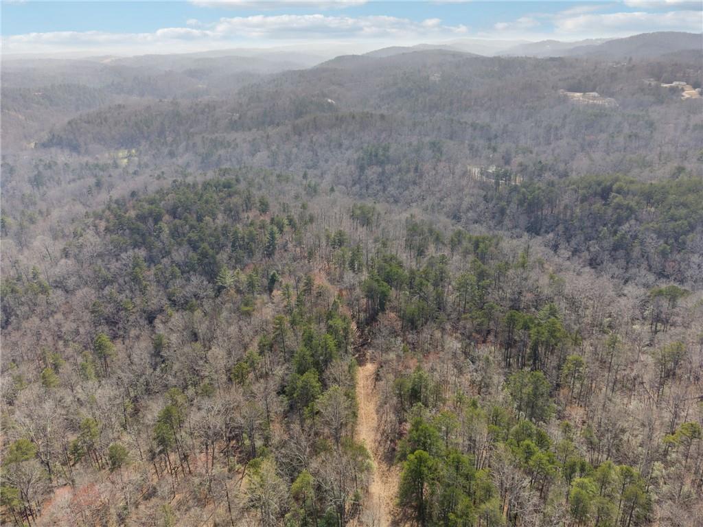 03 Kate Road, Dahlonega, Georgia image 5