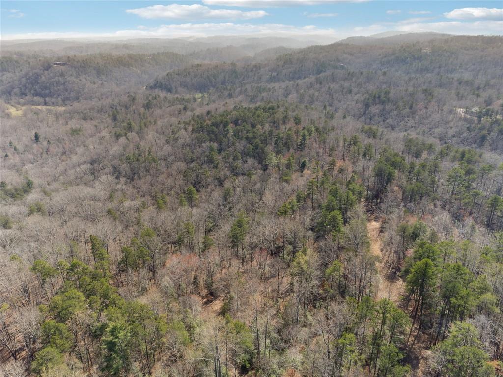 03 Kate Road, Dahlonega, Georgia image 10
