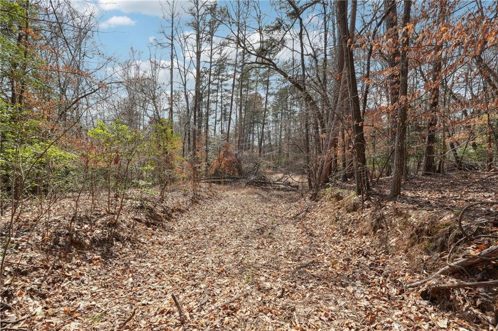 03 Kate Road, Dahlonega, Georgia image 6