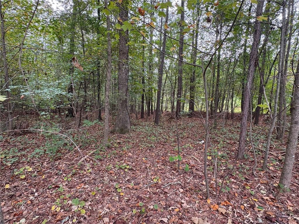 2075 Jerusalem Church Road E