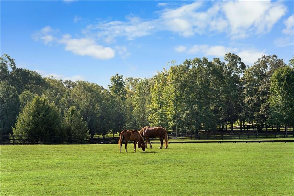 75 Rivercreek Crossing