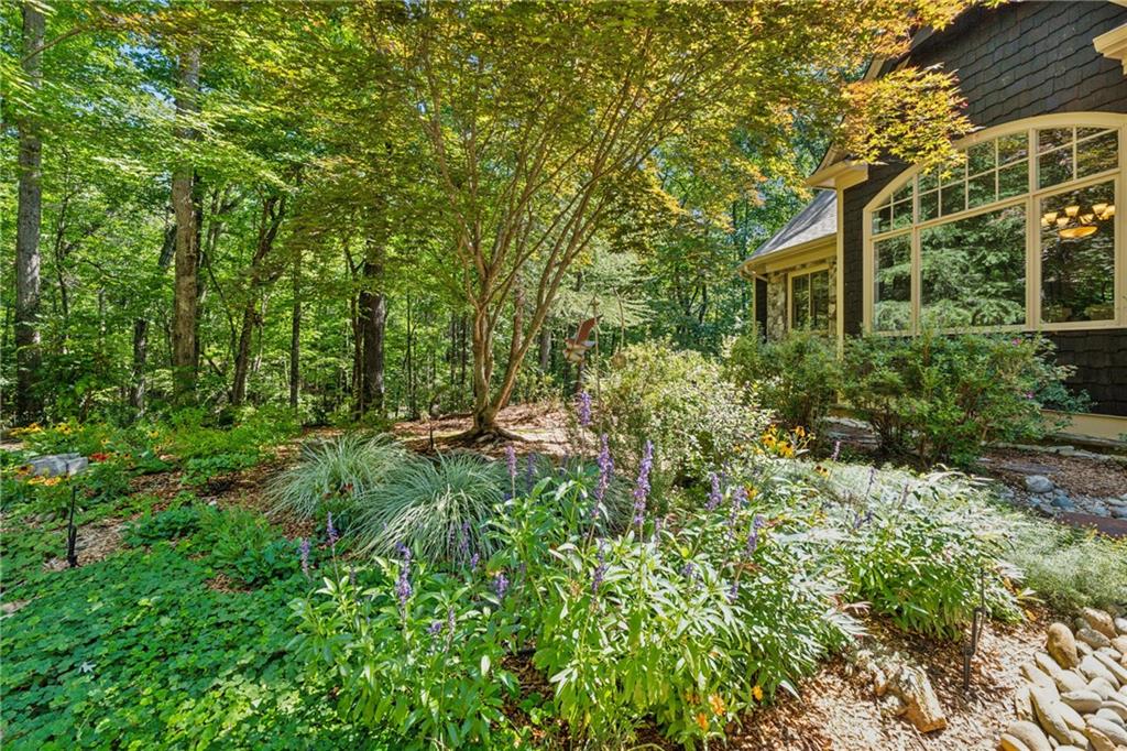 199 Wood Poppy View
