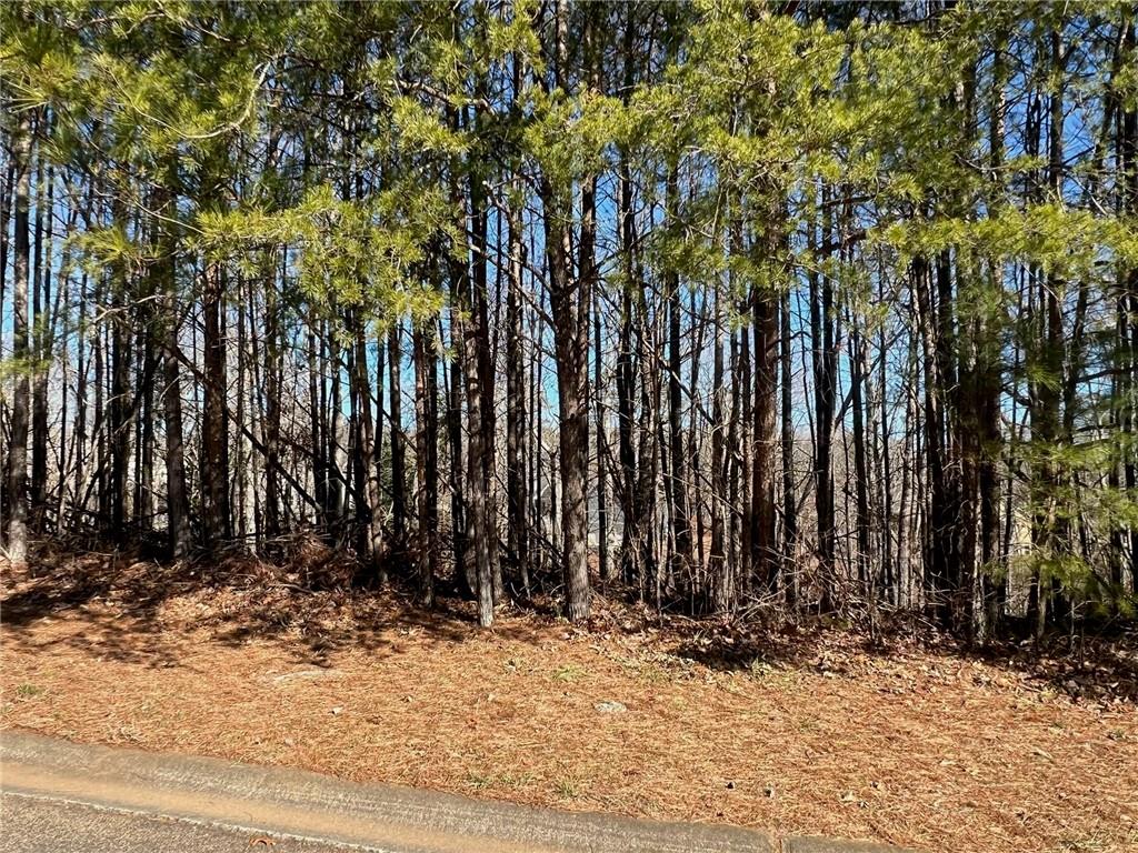 922 Whistler Lane #LOT 67, Canton, Georgia image 9