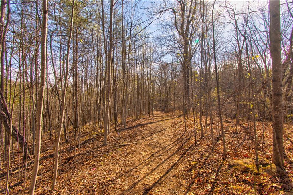 600 Chapman Ridge Lane, Dahlonega, Georgia image 3