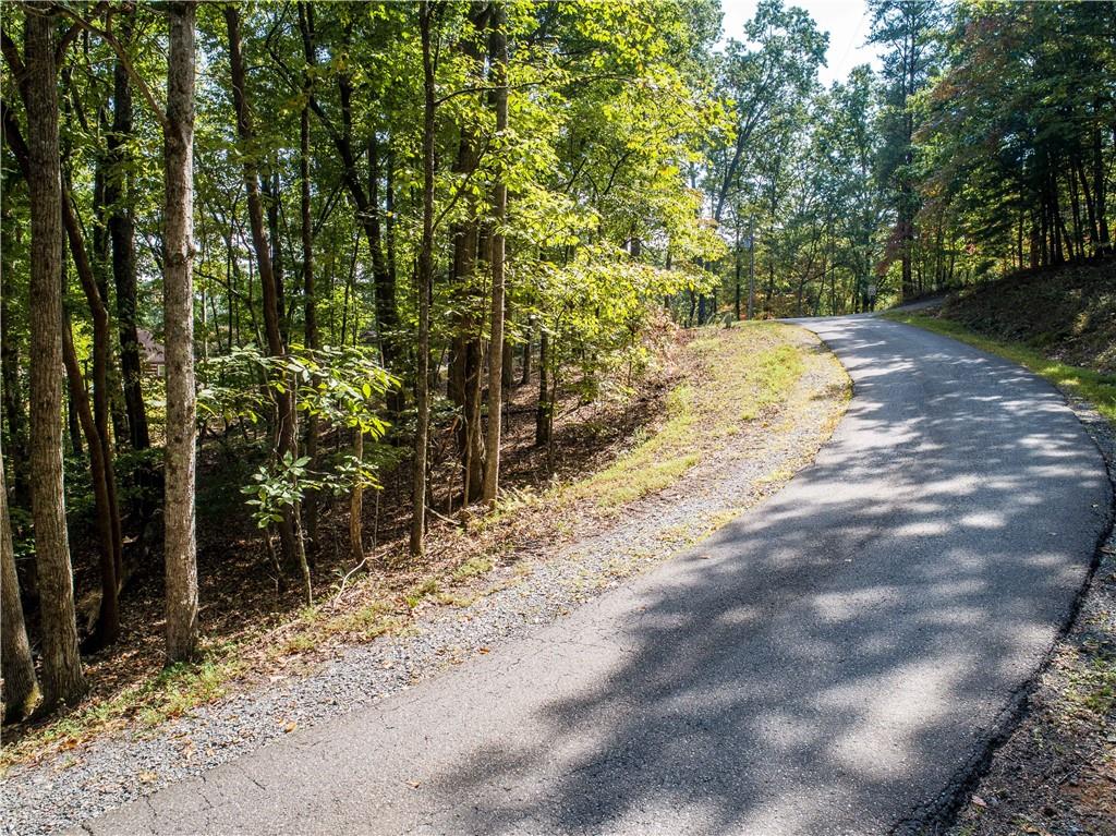 1003 Sunrock Mountain Road Road, Blue Ridge, Georgia image 2