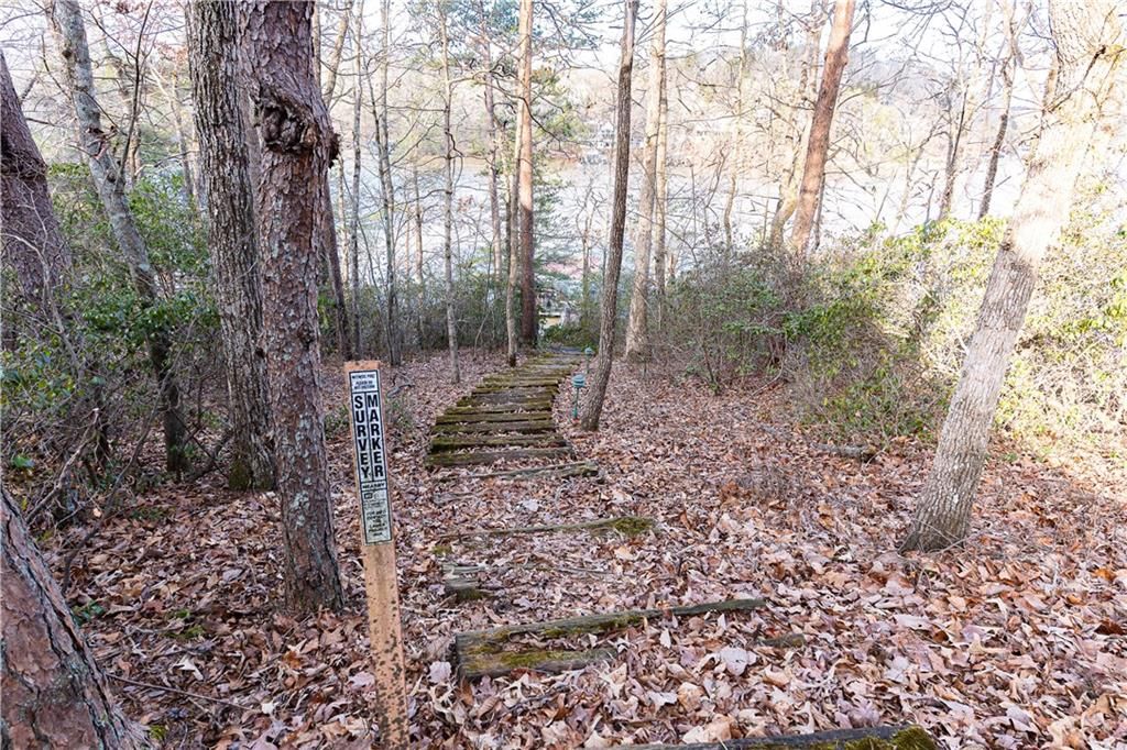 listing image 82