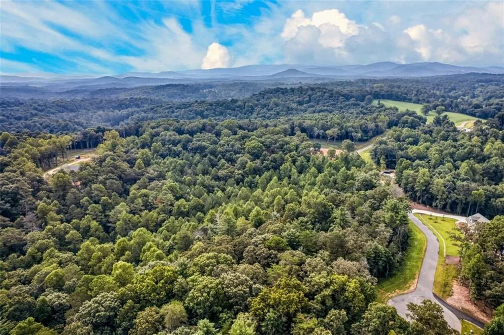 LOT 14 Clear Creek Preserve Way, Ellijay, GA, 30536