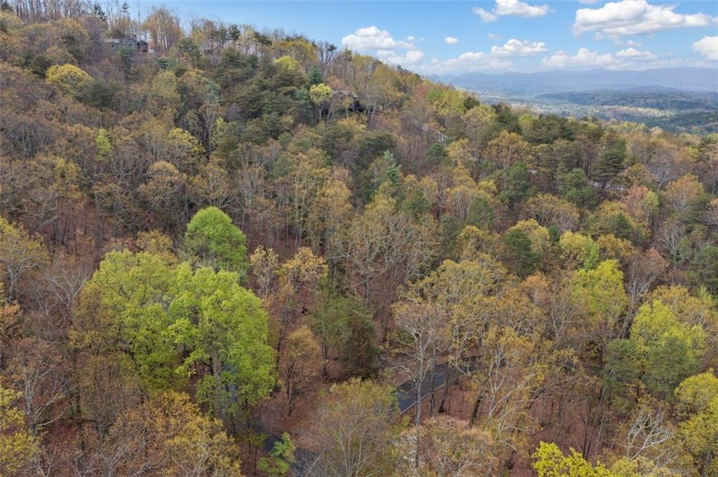 889 Cherokee Trail Trl, Jasper, Georgia image 3