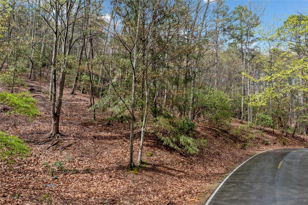 889 Cherokee Trail Trl, Jasper, Georgia image 2