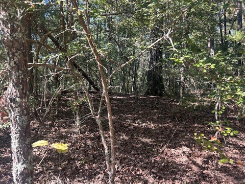 Vacant Land For Sale - Springer Road<br/> Carroll County, Whitesburg, GA 30185