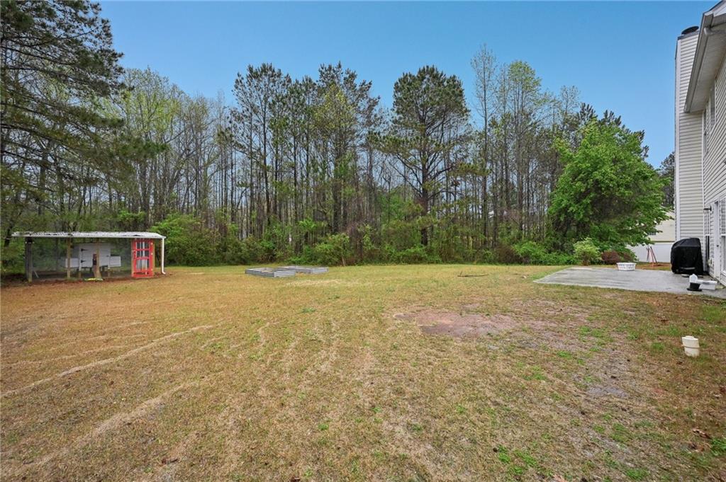 12947 Dunand Boulevard, Hampton, Georgia image 34