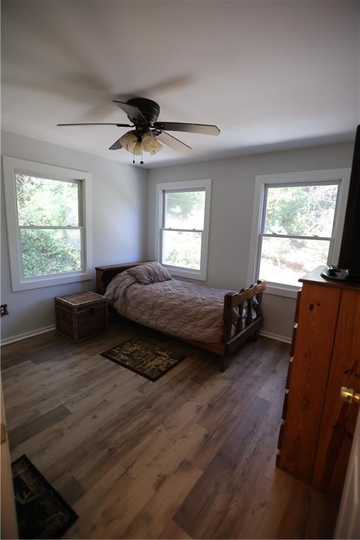 3421 Devils Den Road, Epworth, Georgia image 22