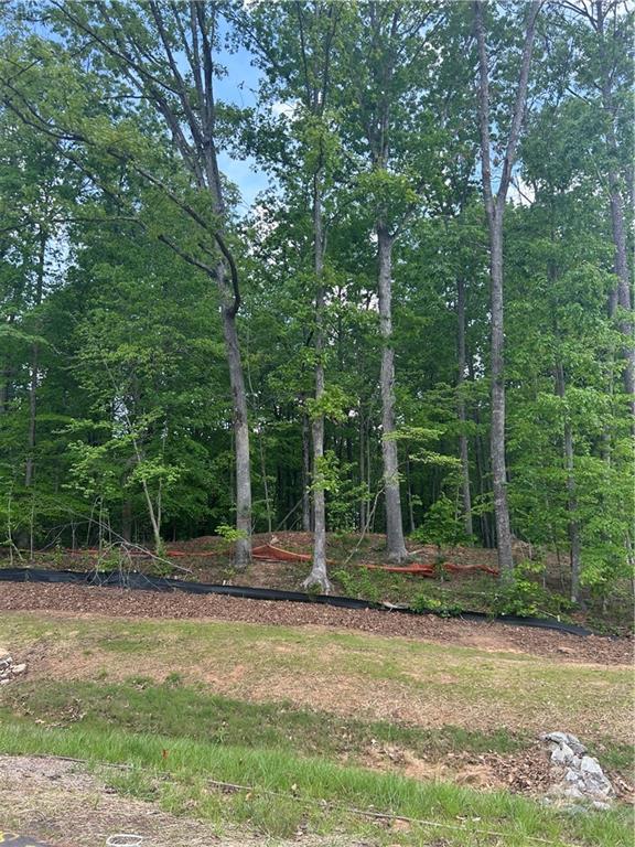 240 Thompson Trail