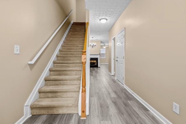 4932 Vireo Drive