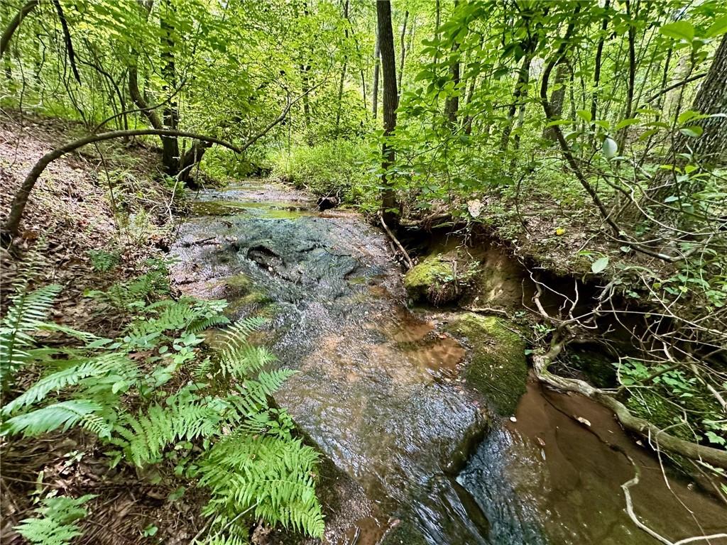 40 Patriot View Drive