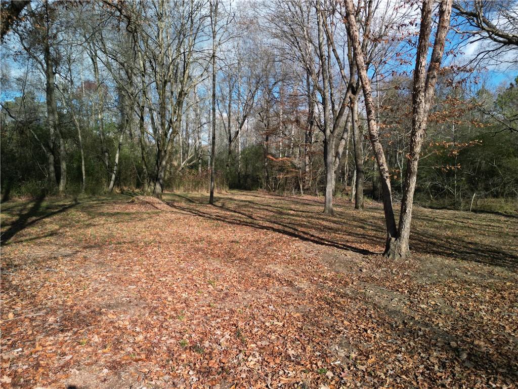 Wedgewood Drive, Silver Creek, Georgia image 5