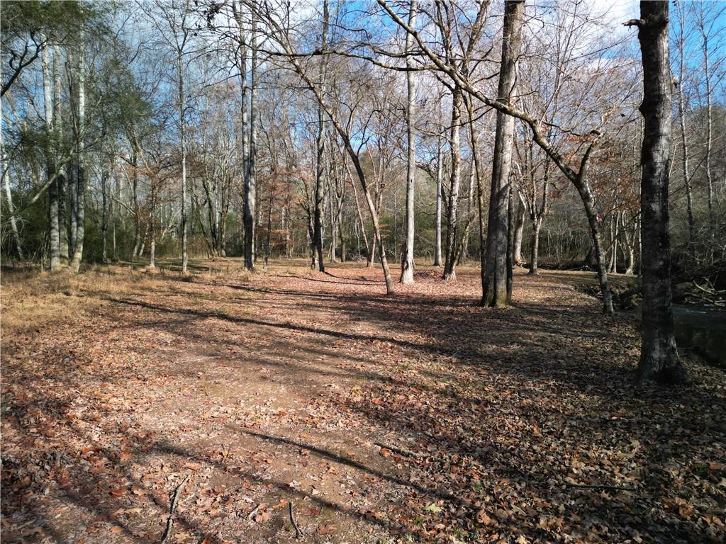 Wedgewood Drive, Silver Creek, Georgia image 3