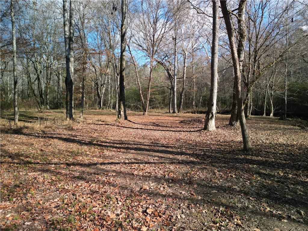 Wedgewood Drive, Silver Creek, Georgia image 4