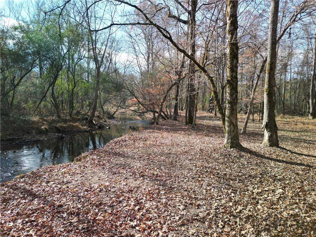 Wedgewood Drive, Silver Creek, Georgia image 7