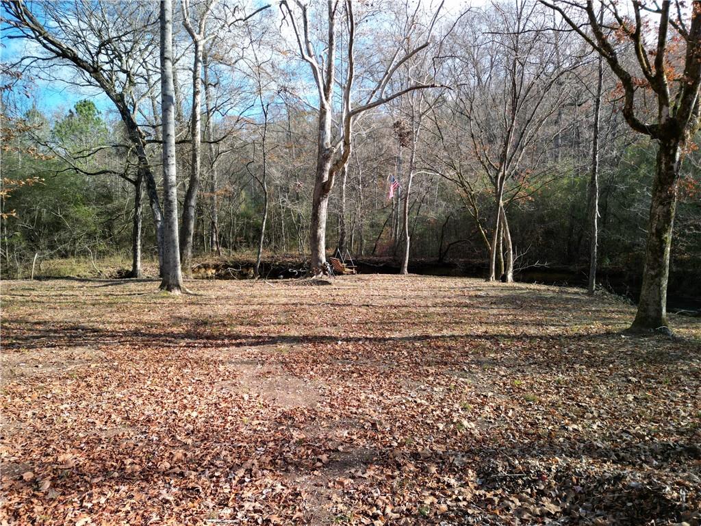 Wedgewood Drive, Silver Creek, Georgia image 6