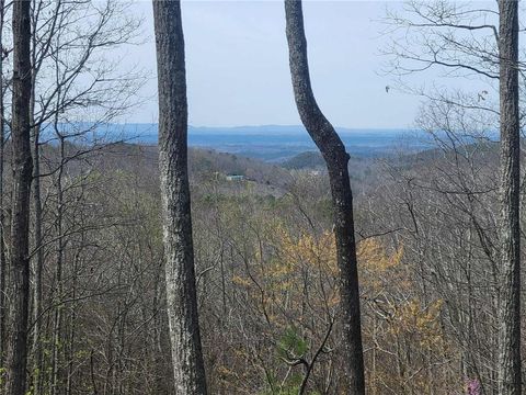 Vacant Land For Sale - 1005 Mayfield Lane<br/> Ranger, GA 30734