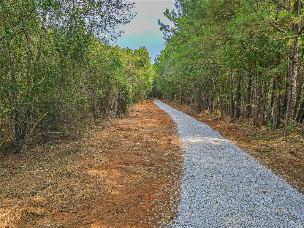 Freedom Lane, Commerce, Georgia image 12